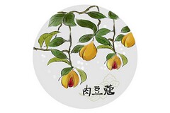 寒假周记_寒假周记400字左右