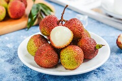 导师推荐信_导师推荐信模板