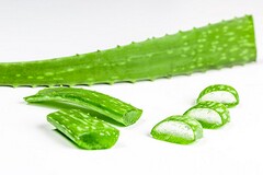 辞职报告简单的写法_房地产销售辞职报告