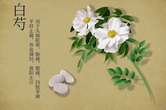 庆祝护士节演讲稿_护士节演讲稿一等奖