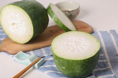 中班树林里的树美术_中班美术树林教案