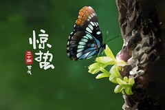 论文发言稿