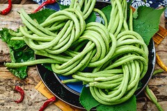 参观植物园日记300字_美丽的植物园记叙日记