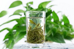 酒店晨会激励口号_销售晨会激励口号
