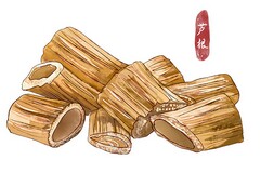银行春节主题活动方案范文(银行春节活动方案范文)