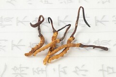 实习劳动合同模板_实习劳动合同