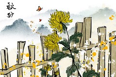 学习教师科研心得体会(教师科研培训心得体会)