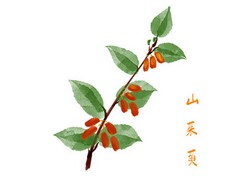 演讲稿开头_演讲稿开头