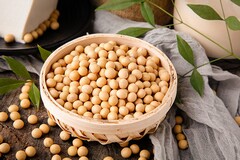 新教师入职培训心得体会视频_中学新教师入职培训心得体会