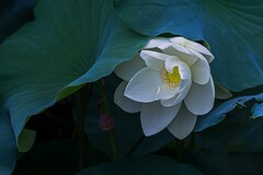 工程师的个人述职报告_工程师述职评定报告