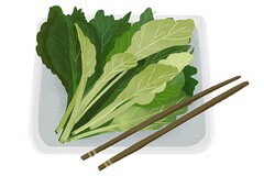 基层医生工作述职报告_医生高级职称述职报告
