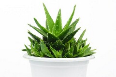 微信经典语录铃声_微信经典语录