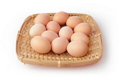 最新年度述职报告(年度述职报告模板下一步工作打算)