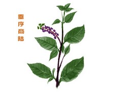 区域农业的可持续发展说课稿_区域农业的可持续发展活动题答案