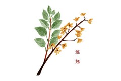 工资收入证明模板怎么写