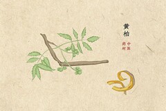 个人简历自我评价200字_个人简历自我评价