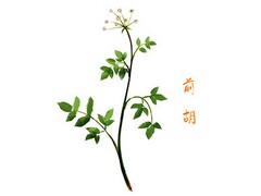 伤感个性句子(个性说说伤感)