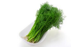 个人简历个人缺点怎么写