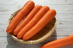 难忘的小学生活作文_难忘的小学生活作文550字六年级