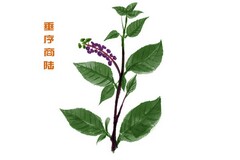 防灾减灾发言稿_防灾减灾发言稿