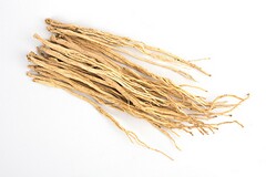 虎年最新春联(关于虎年的春联大全)