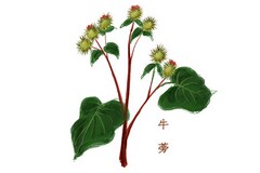 客运企业疫情防控应急预案_客运车辆疫情防控安全告知