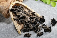 离骚读后感_《离骚》读后感