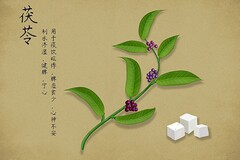 八年级下册语文马说教学视频_八年级语文下册《马说》说课稿